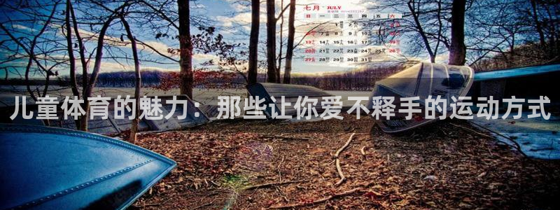 利记官网下载招商电话是多少啊:儿童体育的魅力:那些让你爱不释
