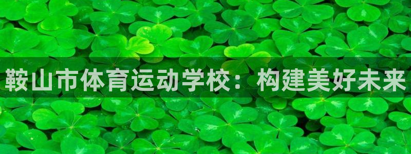 利记官方正版app神州:鞍山市体育运动学校:构建美好未来