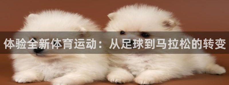 利记官网下载招商电话号码是多少:体验全新体育运动:从足球到马