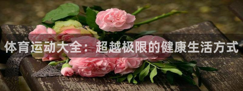 利记官方正版app开户:体育运动大全:超越极限的健康生活方式